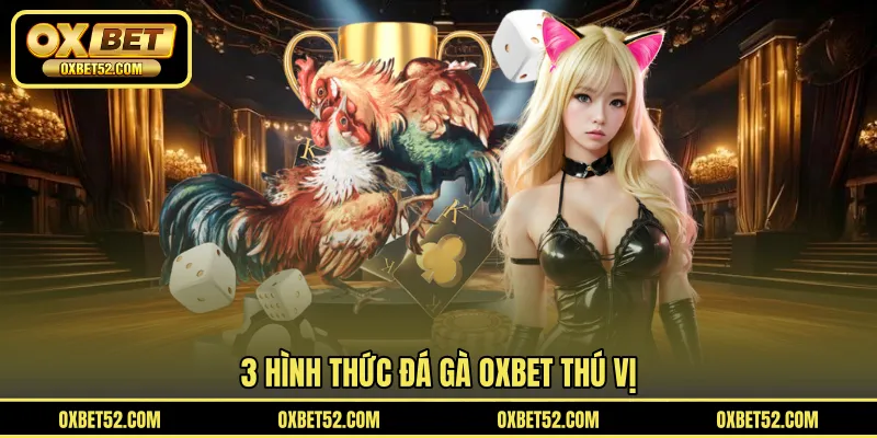 3 hình thức đá gà OXBET thú vị