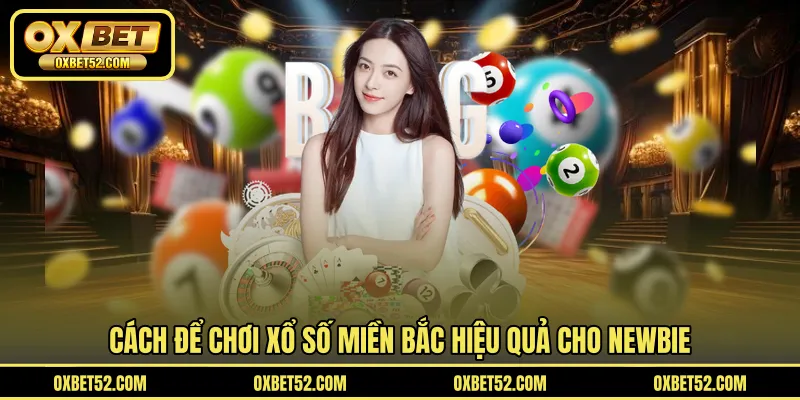 Cách để chơi xổ số miền Bắc hiệu quả cho newbie