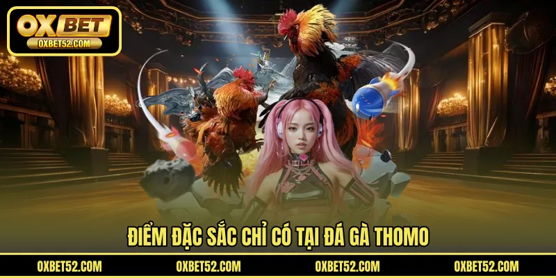 Điểm đặc sắc chỉ có tại đá gà Thomo