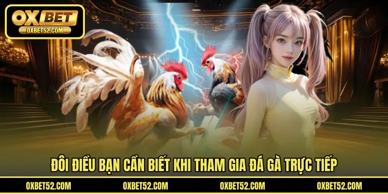 Đôi điều bạn cần biết khi tham gia đá gà trực tiếp