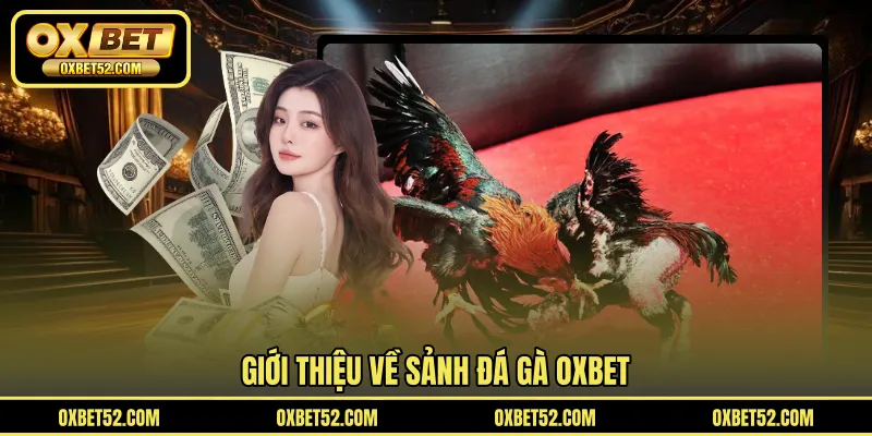 Giới thiệu về sảnh đá gà OXBET