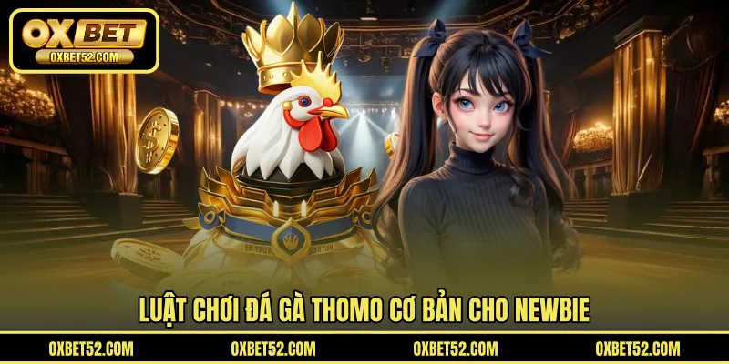 Luật chơi đá gà Thomo cơ bản cho newbie