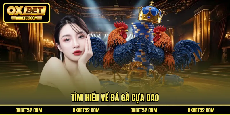 Tìm hiểu về đá gà cựa dao