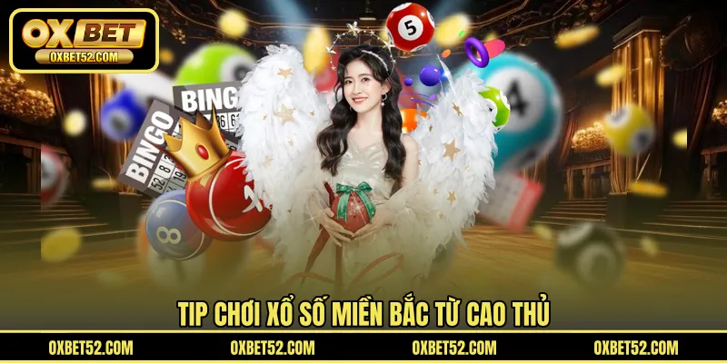 Tip chơi xổ số miền Bắc từ cao thủ