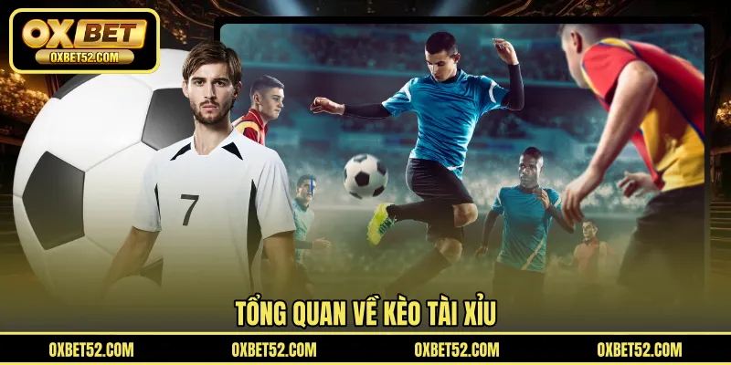 Tổng quan về kèo tài xỉu