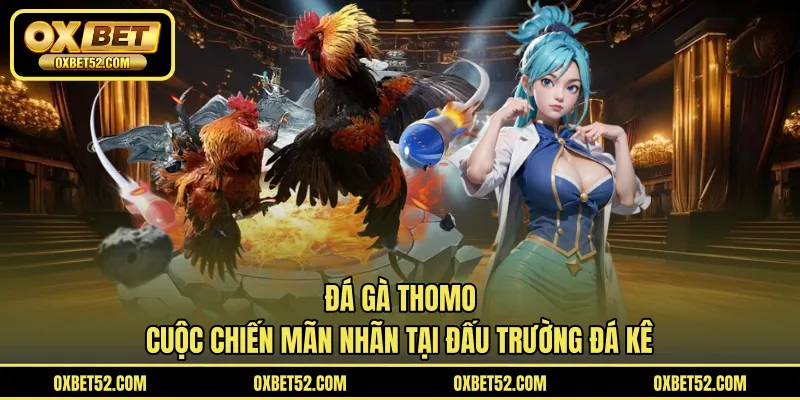 Đá Gà Thomo